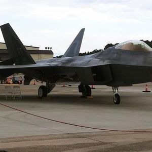 Meet your Posher, George